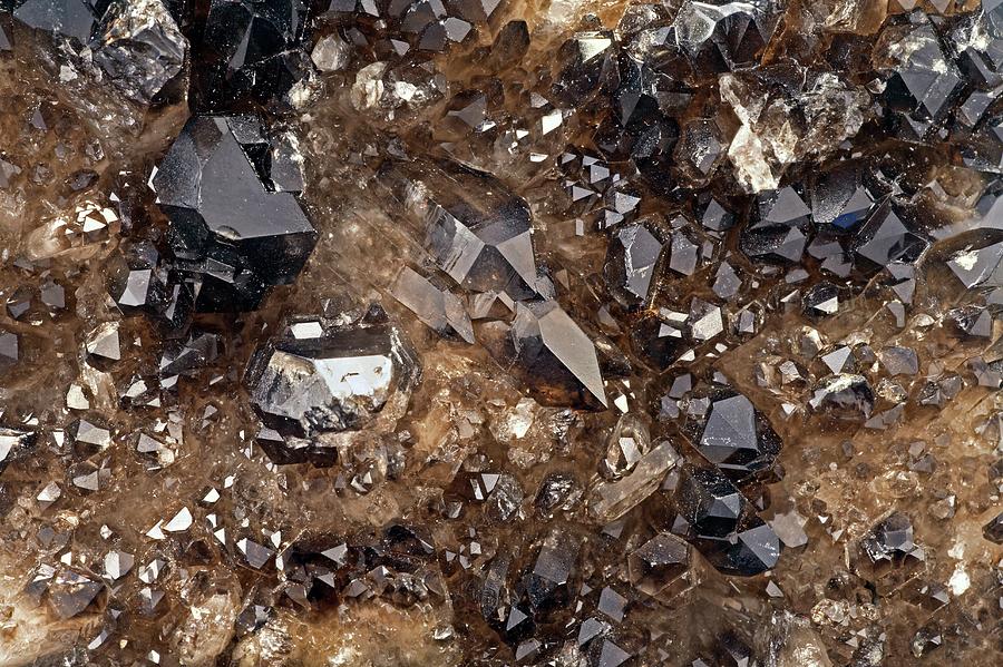 Smoky Quartz Photograph - Smoky Quartz Crystals #1 by Michael Clutson/science Photo Library