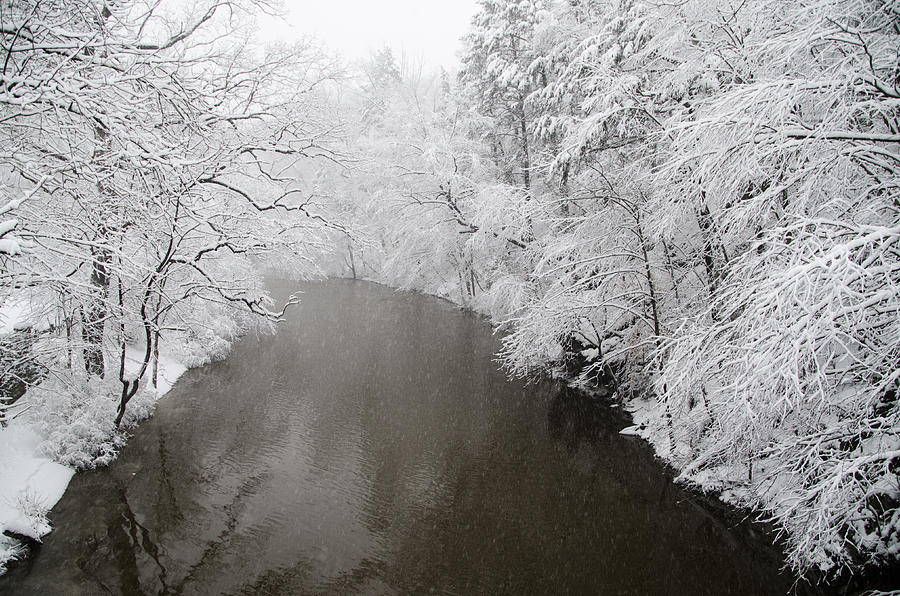 Snow Along the Wissahickon Creek #1 Photograph by Bill Cannon