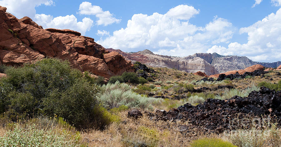 Snow Canyon National Park #1 Photograph by Mary Jane Armstrong