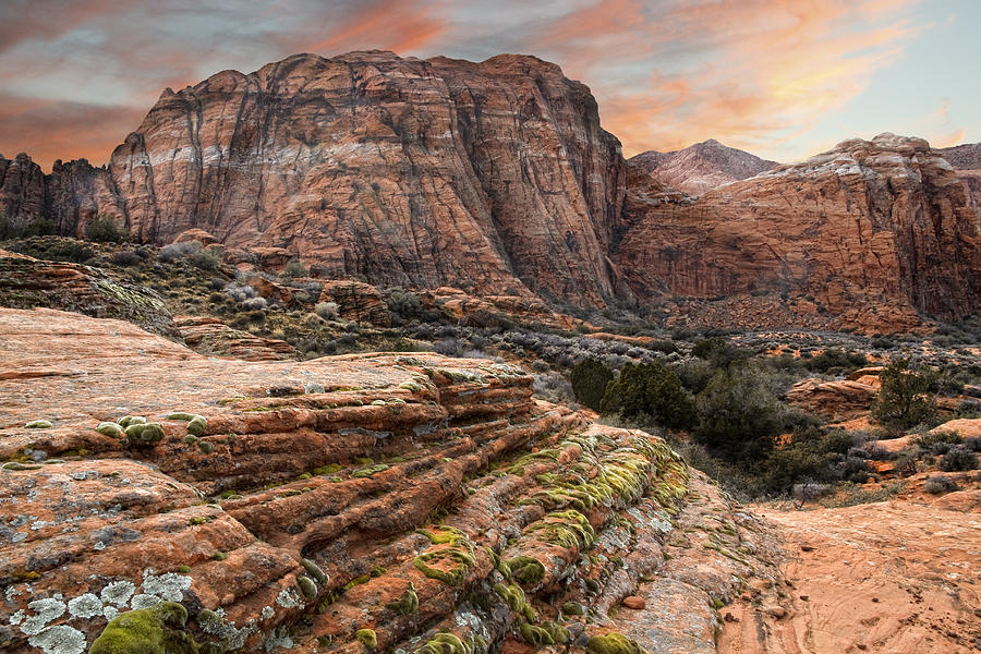 Snow Canyon State Park Utah #1 Photograph by Douglas Pulsipher