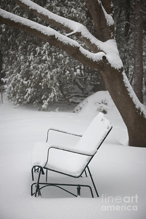 Snow covered bench 1 Photograph by Elena Elisseeva