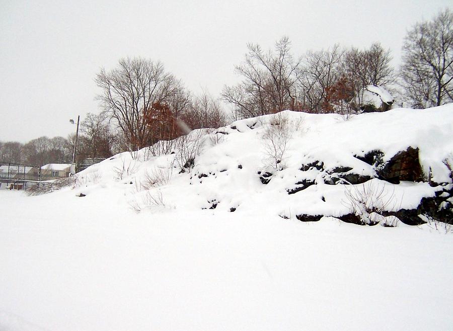 Snow Covered Rocks Photograph by Catherine Gagne