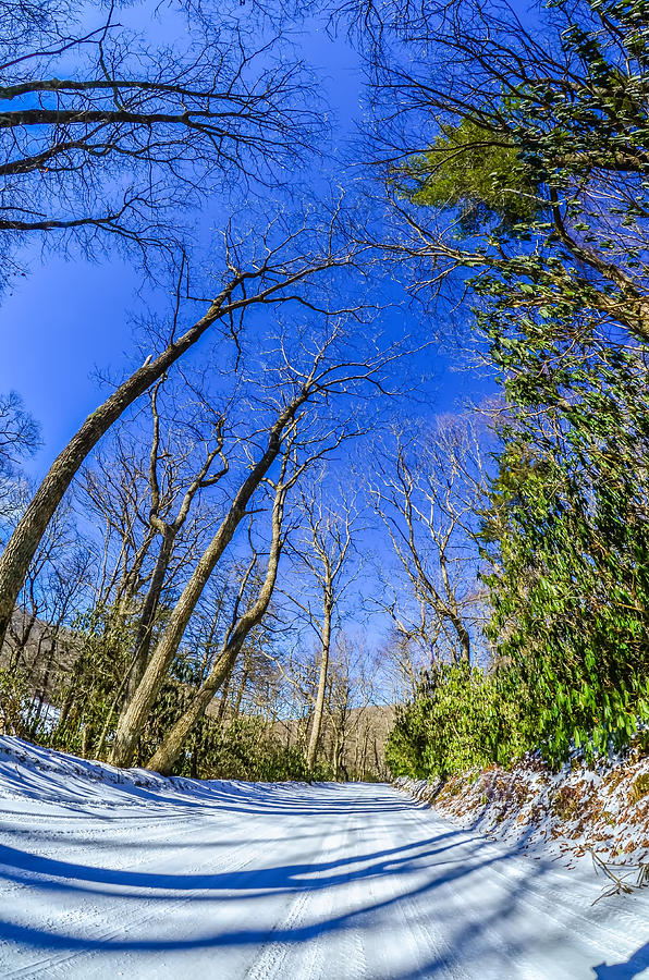 Snow Covered Road Leads Through The Wooded Forest #1 Photograph by Alex Grichenko