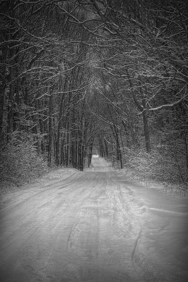 Snow covered Road #1 Photograph by Randall Nyhof