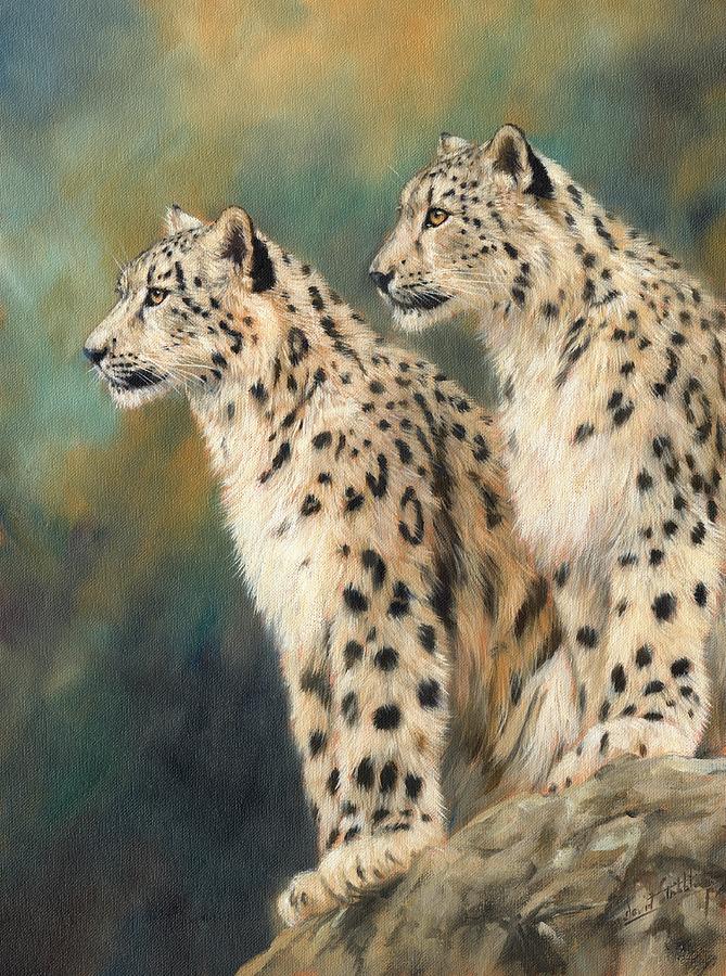 Snow Leopards #2 Painting by David Stribbling