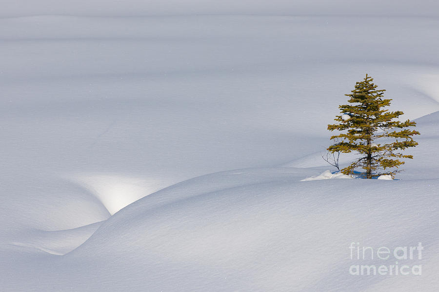 Snow Mounds At Graveyard Flats #1 Photograph by John Shaw