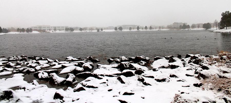 Snow On The Lake Photograph