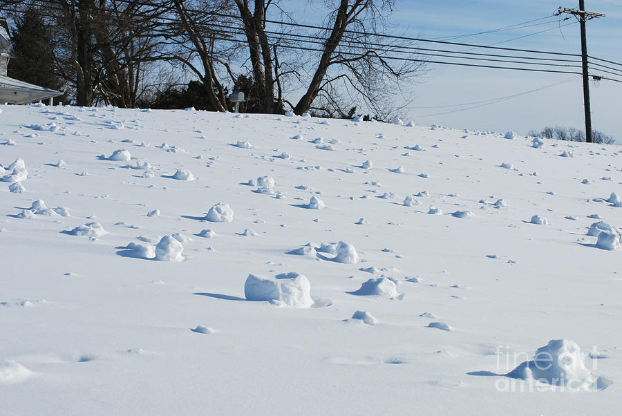 Snow Rollers #1 Photograph by Lila Fisher-Wenzel