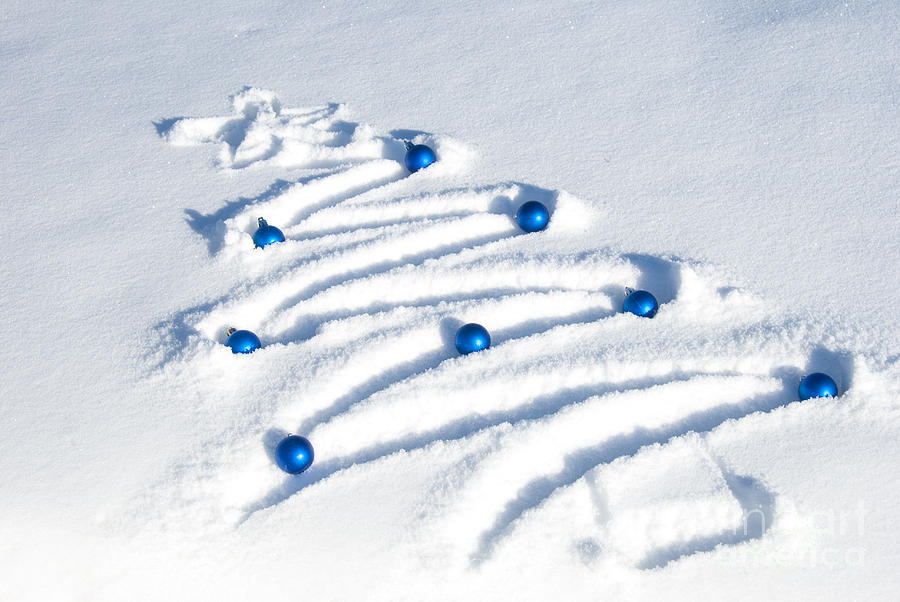 Christmas Photograph - Snow Tree by Juli Scalzi