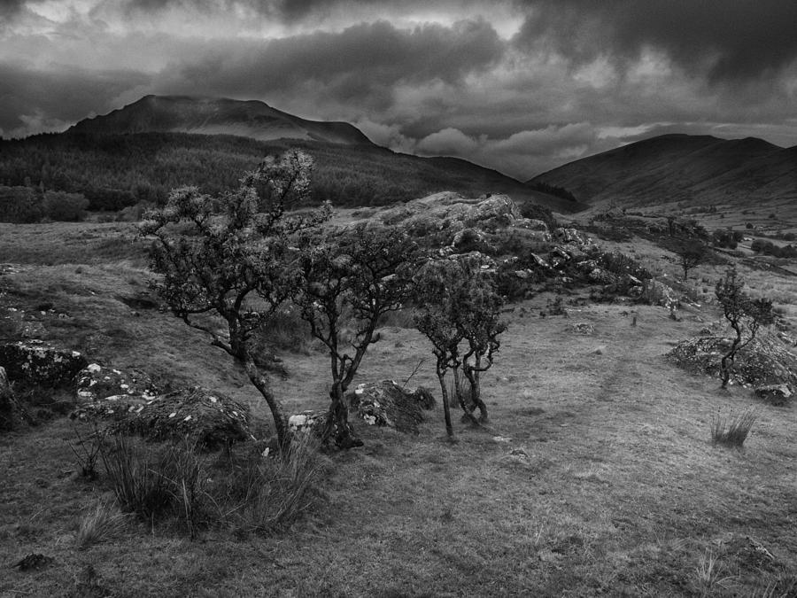 Snowdonia National Park Wales #1 Photograph by Richard Wiggins