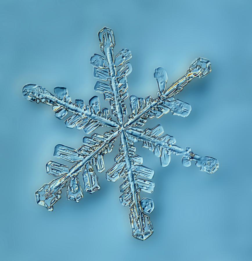 Snowflake Crystal #1 Photograph by Gerd Guenther