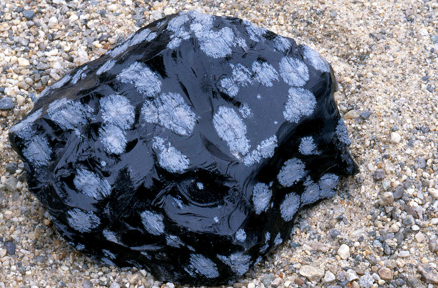 Snowflake Obsidian Photograph By Andrew J Martinez