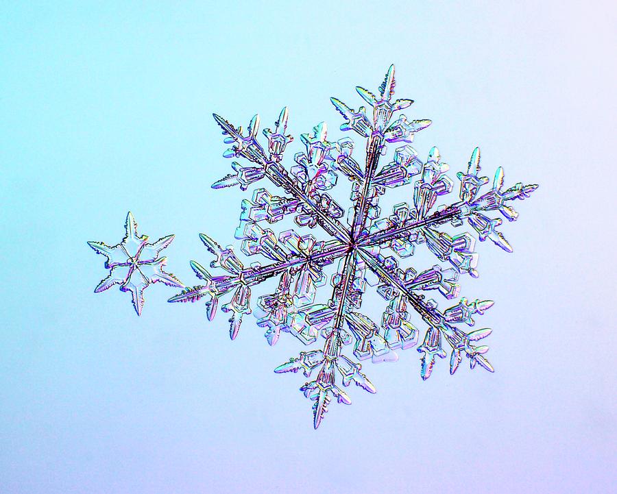 Snowflakes #1 Photograph by Kenneth Libbrecht