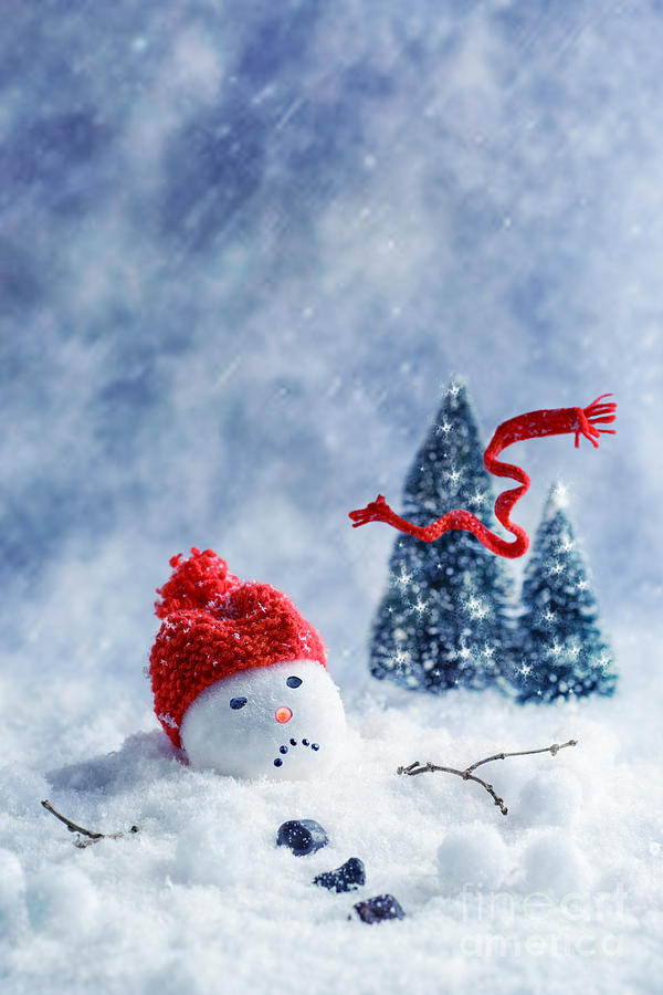 Christmas Photograph - Snowman #2 by Amanda Elwell