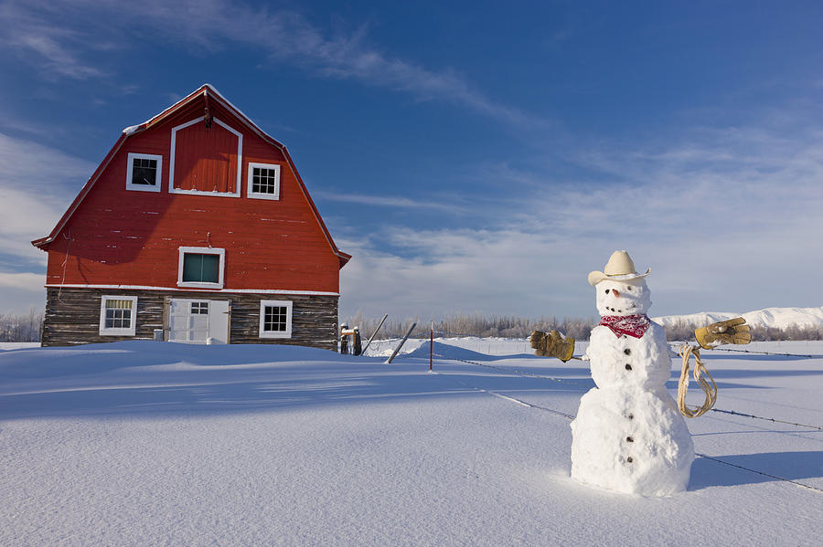 Winter Photograph - Snowman Dressed Up As A Cowboy Standing #1 by Kevin Smith