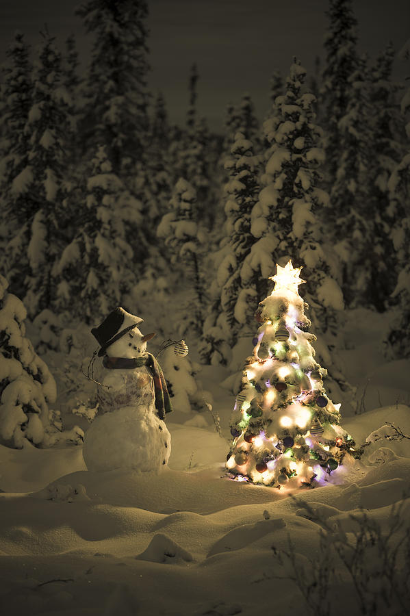 Snowman Stands In A Snowcovered Spruce #1 Photograph by Kevin Smith