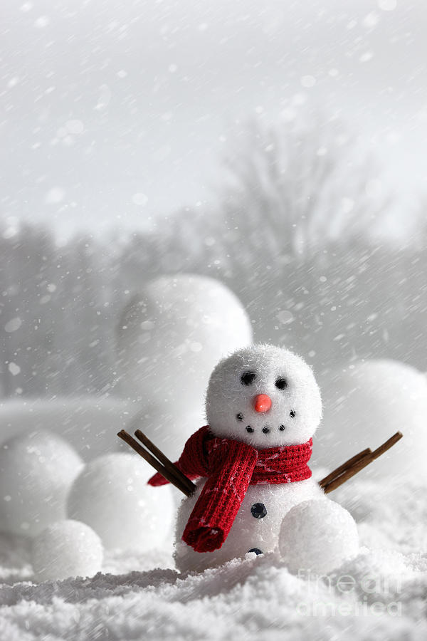 Snowman with wintery background #1 Photograph by Sandra Cunningham