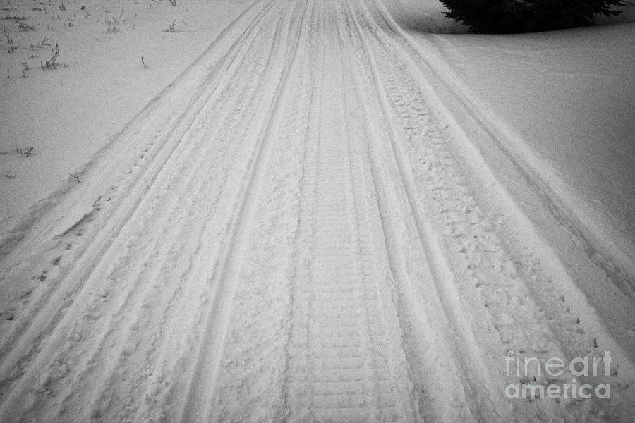 snowmobile tracks in the snow Kamsack Saskatchewan Canada Photograph by