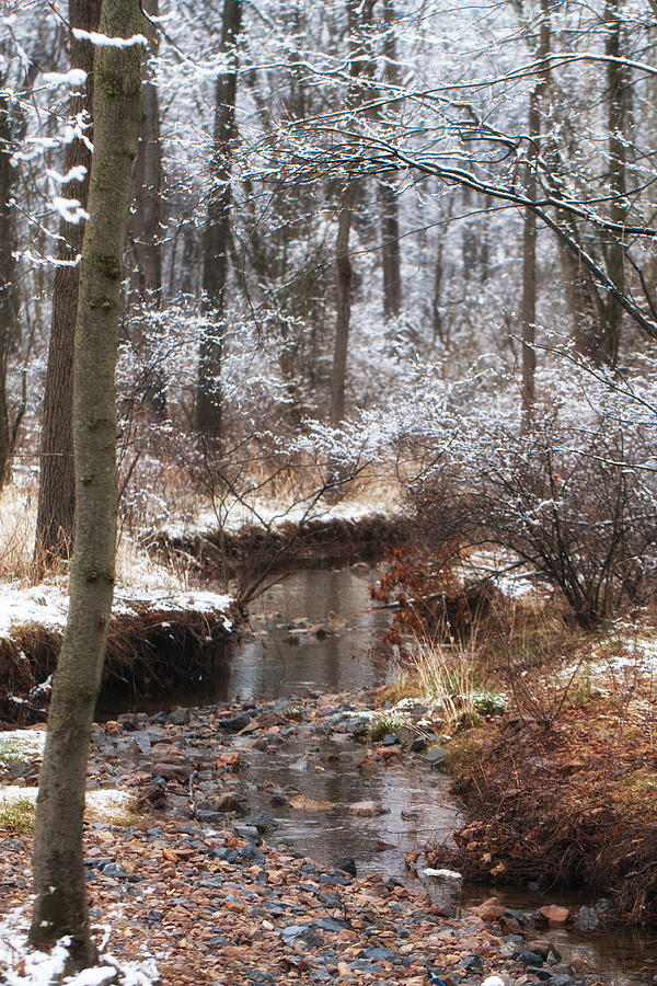 Snowy Creek Photograph by Christine Figler - Pixels