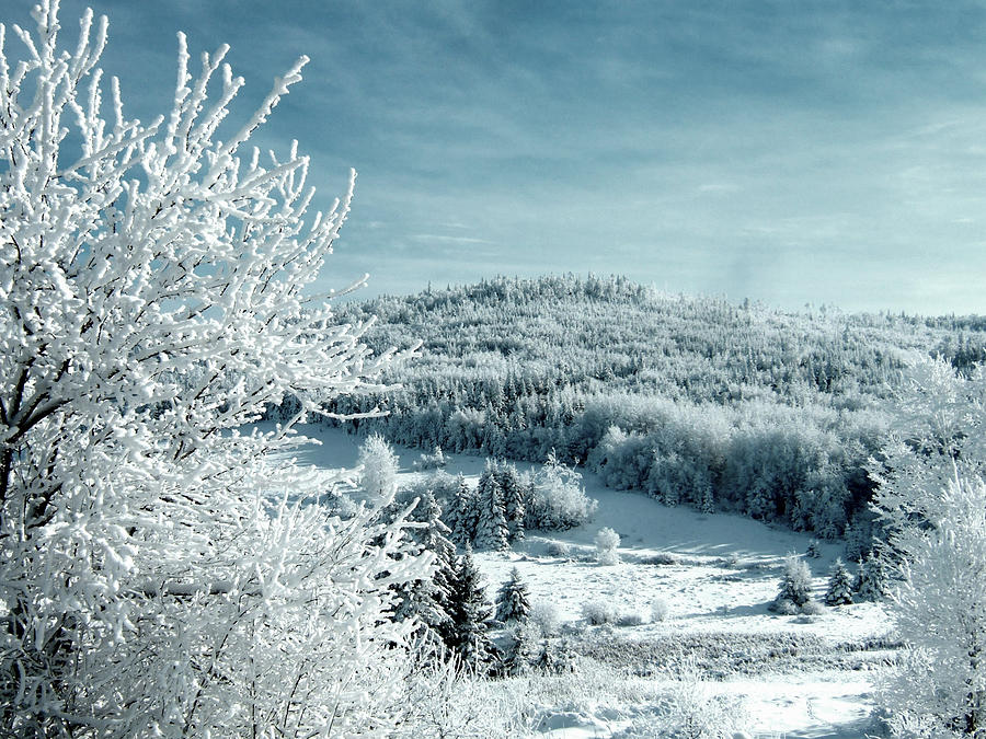 Snowy Hill Photograph by Andrew Dimmitt - Fine Art America