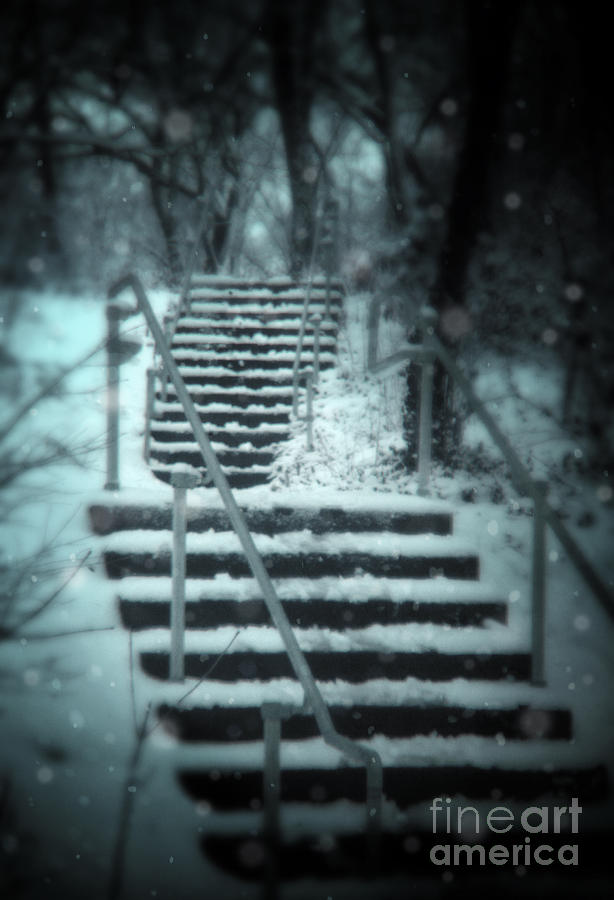 Snowy Stairway #1 Photograph by Jill Battaglia