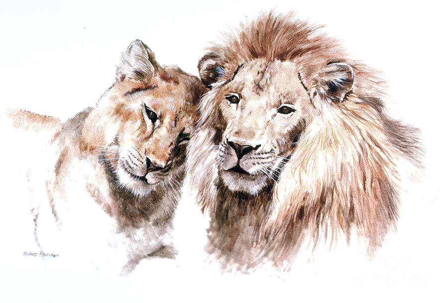 Lion Painting - So In Love #1 by Richard Hauser