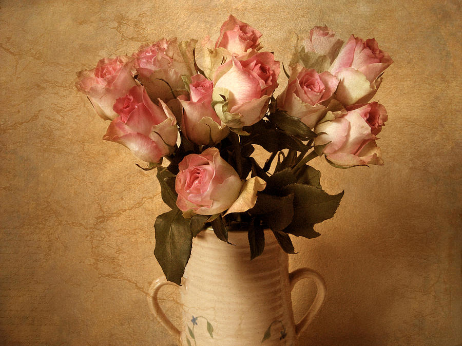 Roses Photograph - Soft Spoken by Jessica Jenney Roses Photograph - Soft Spoken by Jessica Jenney