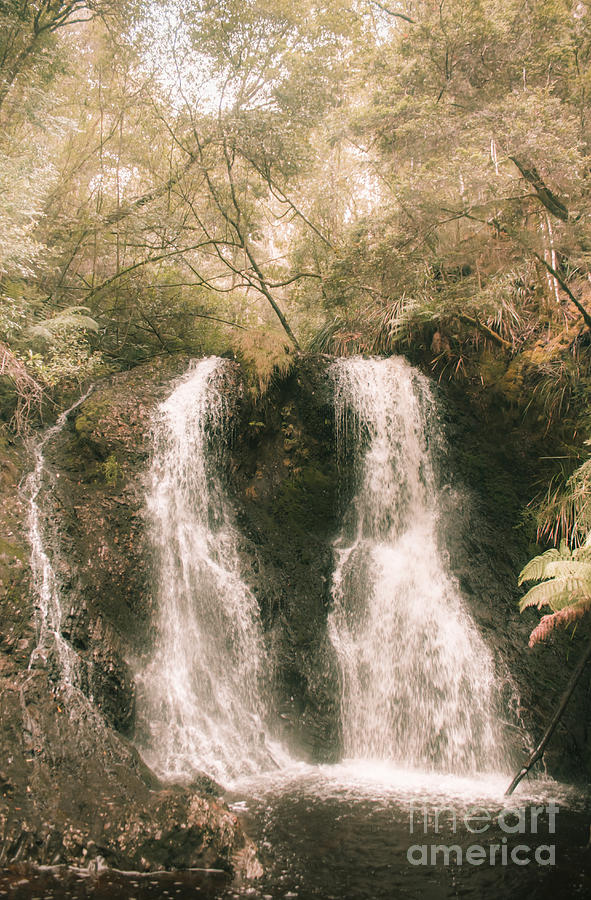 Waterfall Photograph - Soft Vintage Forest Waterfall In Tasmania by Jorgo Photography - Wall Art Gallery Waterfall Photograph - Soft Vintage Forest Waterfall In Tasmania by Jorgo Photography - Wall Art Gallery