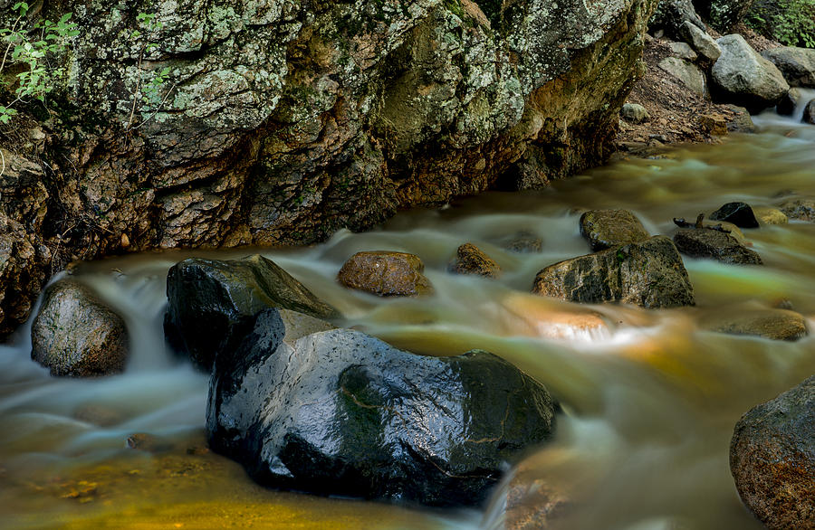 Softly Flowing Brook Photograph by Tim Reaves