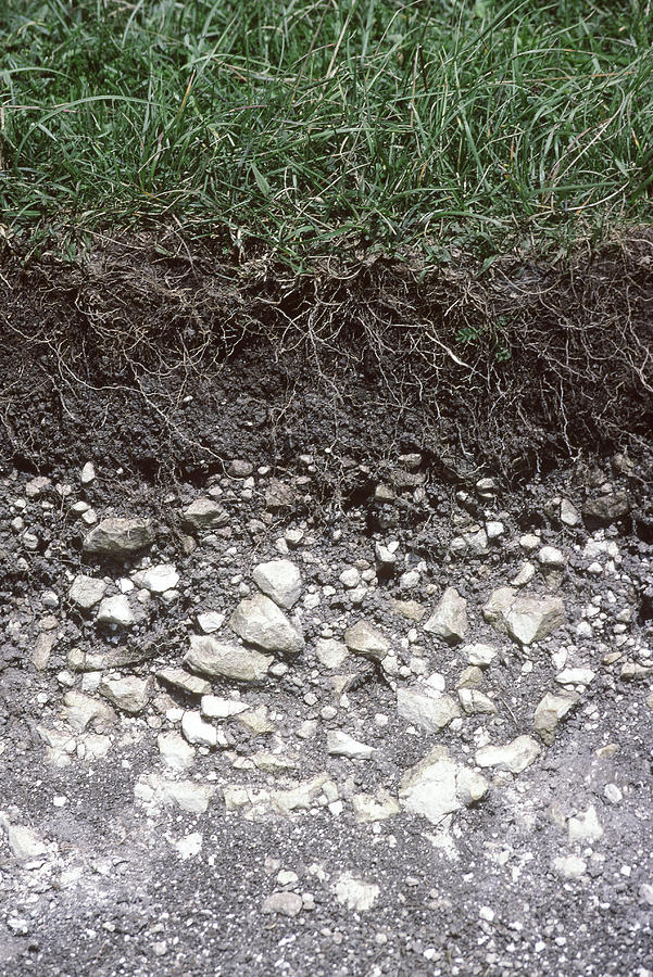 Soil Profile #1 Photograph by A.b. Joyce