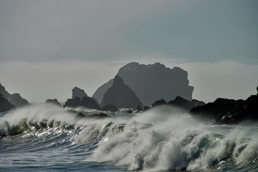 Sonoma Coast, California Photograph by Mark Newman Sonoma Coast, California Photograph by Mark Newman