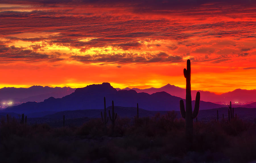 Sonoran Skies on Fire Photograph by Saija Lehtonen