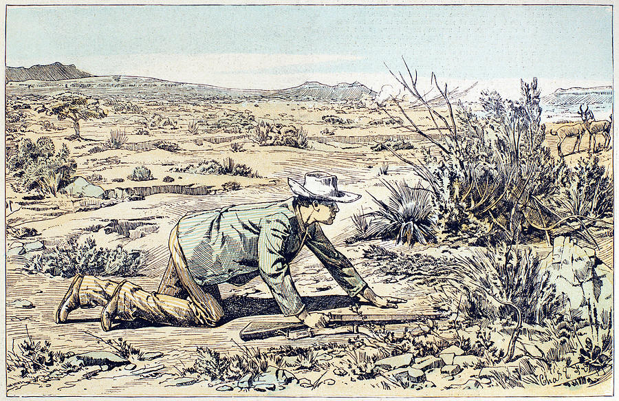 South Africa Hunter, 1891 #2 Drawing by Granger