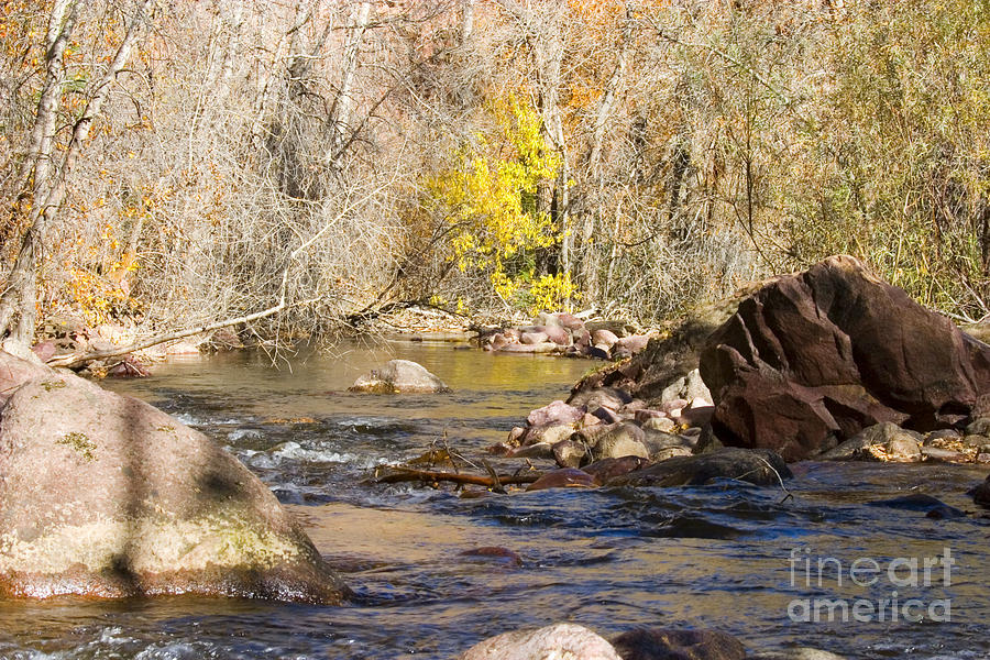 South Boulder Creek #1 Photograph by Steven Krull