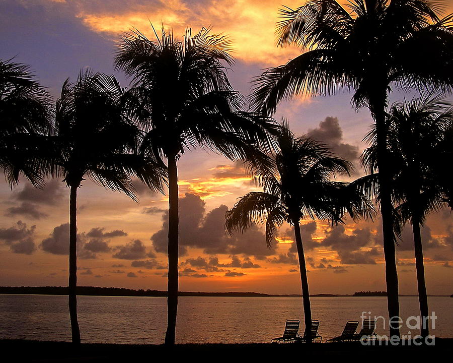 South Florida Sunset #2 Photograph by Carol  Bradley