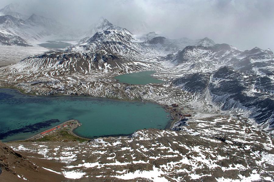 South Georgia #1 Photograph by Science Photo Library South Georgia #1 Photograph by Science Photo Library