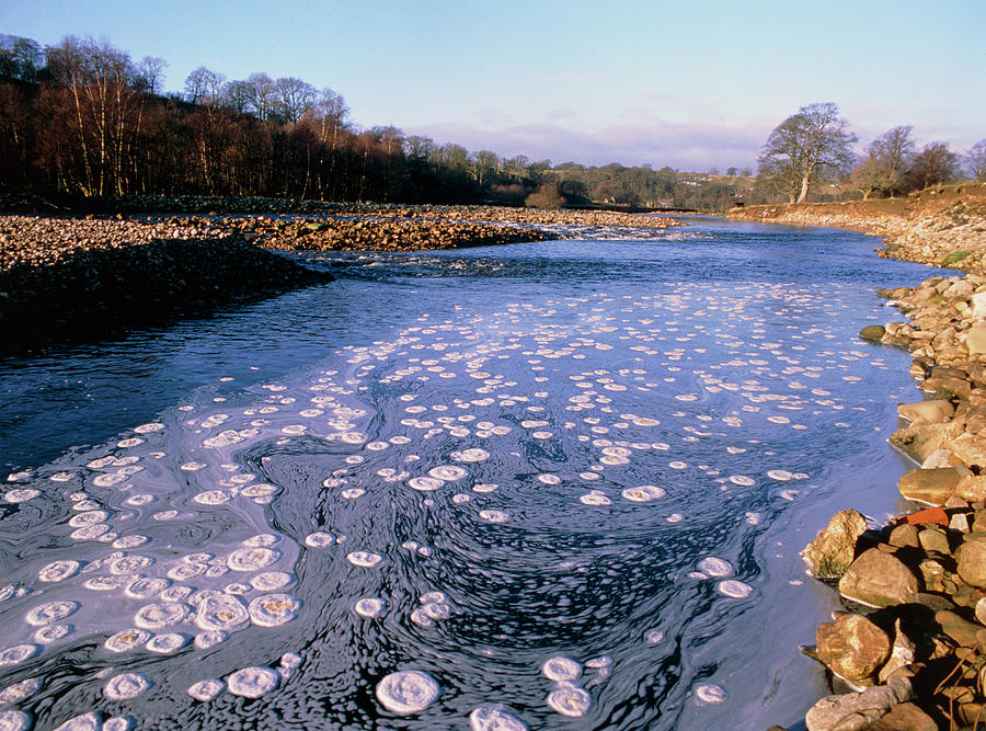 South Tyne River Pollution #1 Photograph by Simon Fraser/science Photo Library