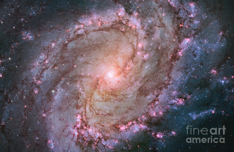 Southern Pinwheel Galaxy M83 #2 Photograph by Science Source