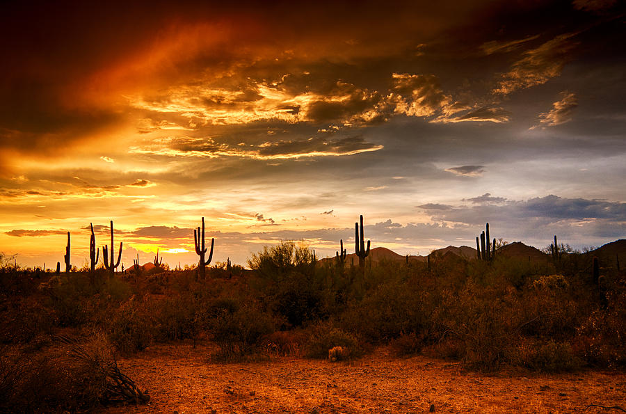 Southwestern Skies Photograph by Saija Lehtonen - Fine Art America