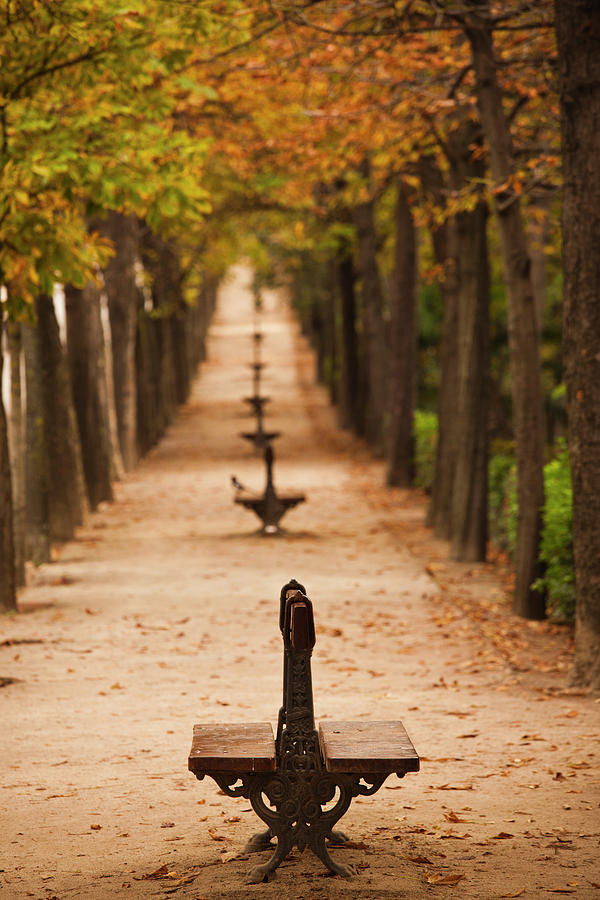 Spain, Madrid, Parque Del Buen Retiro #1 Photograph by Walter Bibikow Spain, Madrid, Parque Del Buen Retiro #1 Photograph by Walter Bibikow
