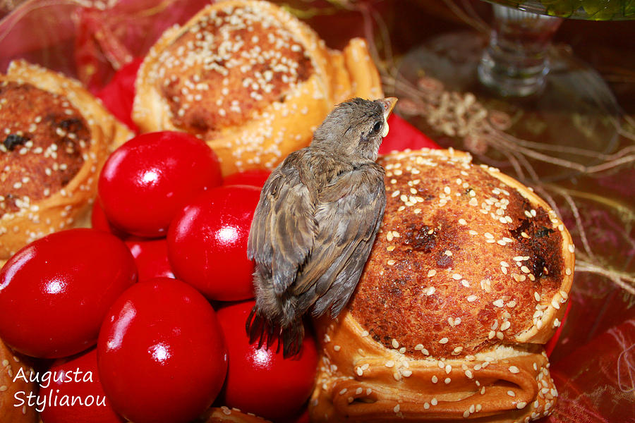 Sparrow on Red Eggs #2 Photograph by Augusta Stylianou