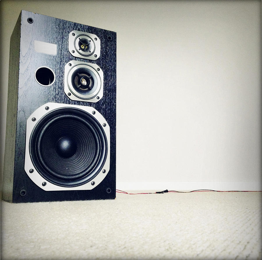 Bass Photograph - Speaker #1 by Les Cunliffe