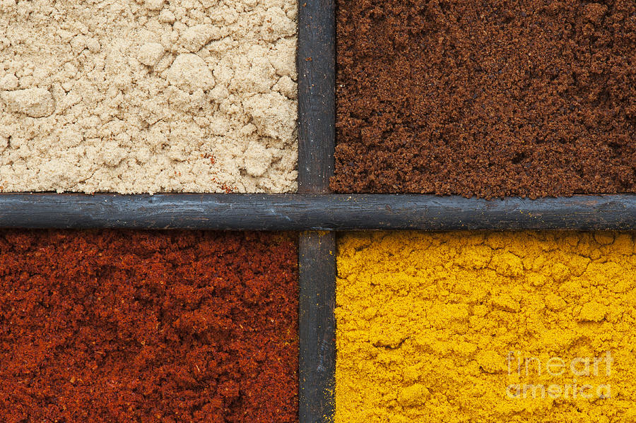 Spices of India Grid Photograph by Tim Gainey