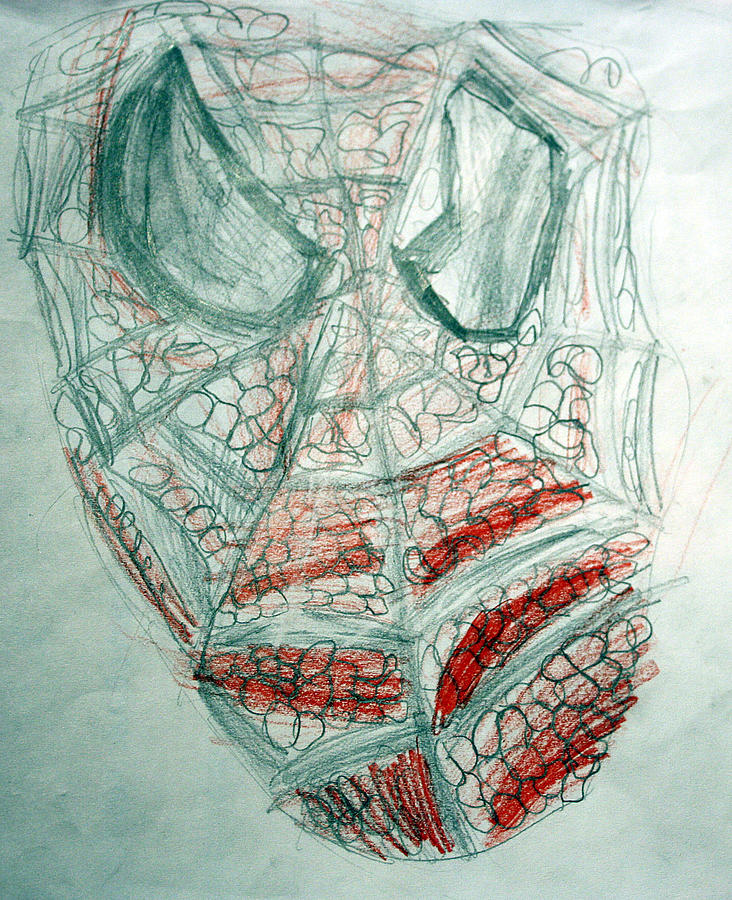 SpiderMan Drawing by Julian Eftimov | Fine Art America