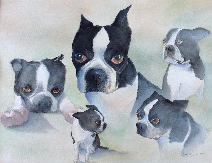 Boston Terrier Painting - Spike  #1 by Dorothy Nalls