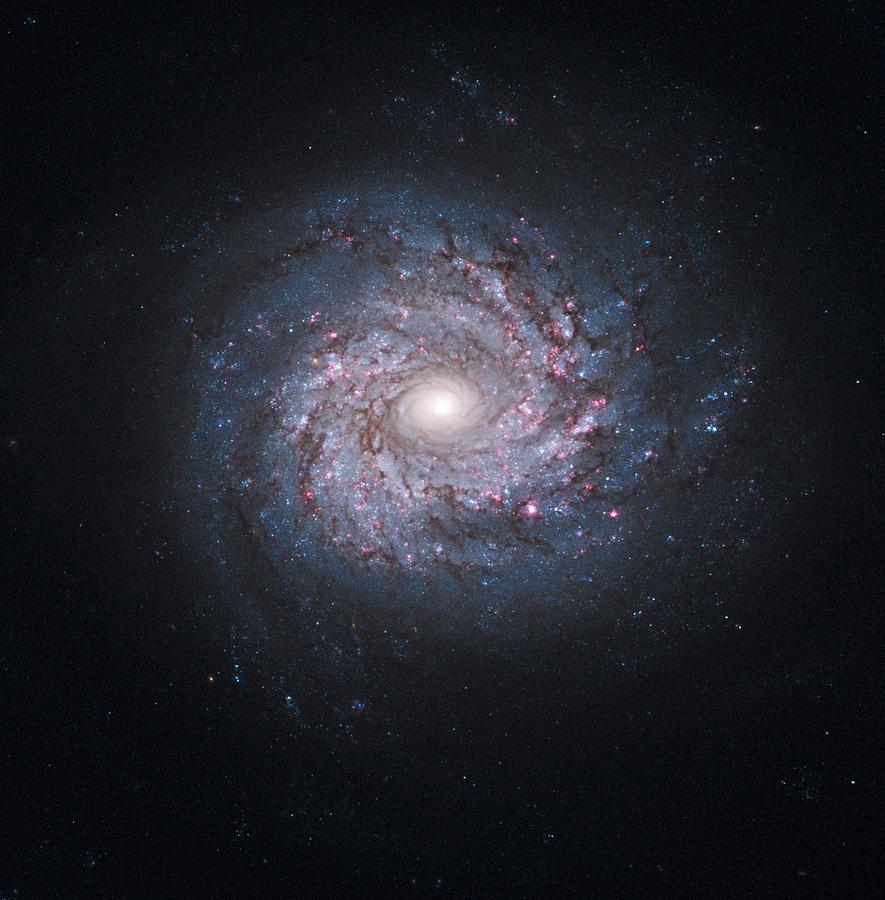 Spiral galaxy, HST image #1 Photograph by Science Photo Library