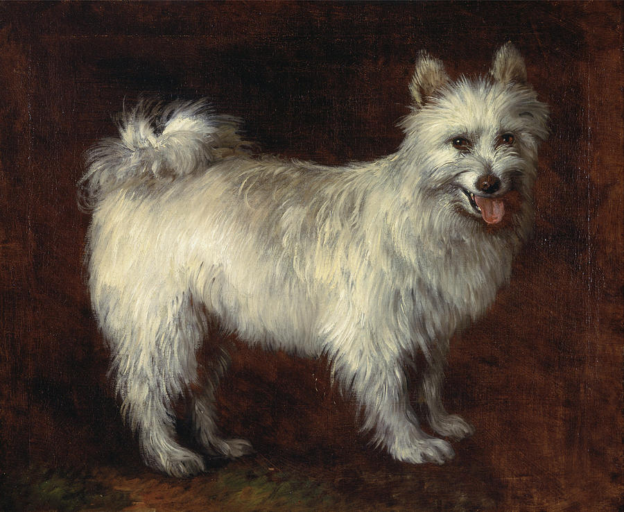Spitz Dog #2 Painting by Thomas Gainsborough