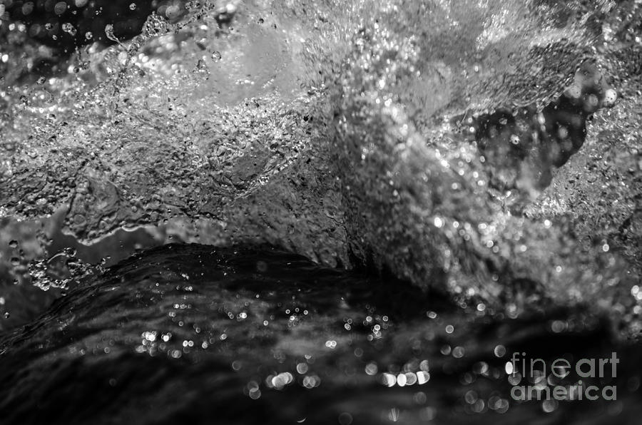 Splash #1 Photograph by JT Lewis