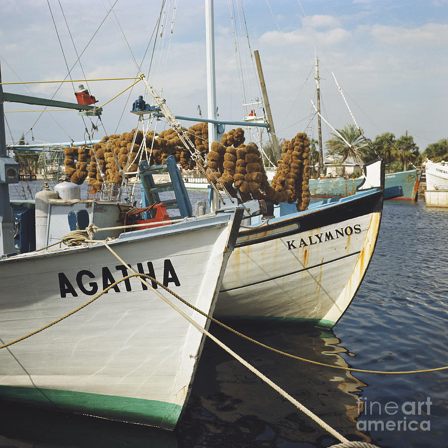 Sponge Fishing Boats #1 Photograph by Van Bucher