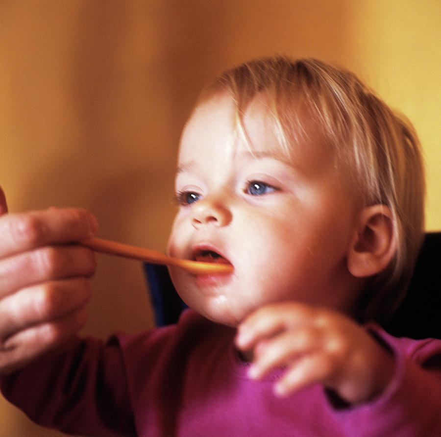 spoon-feeding-photograph-by-cristina-pedrazzini-science-photo-library